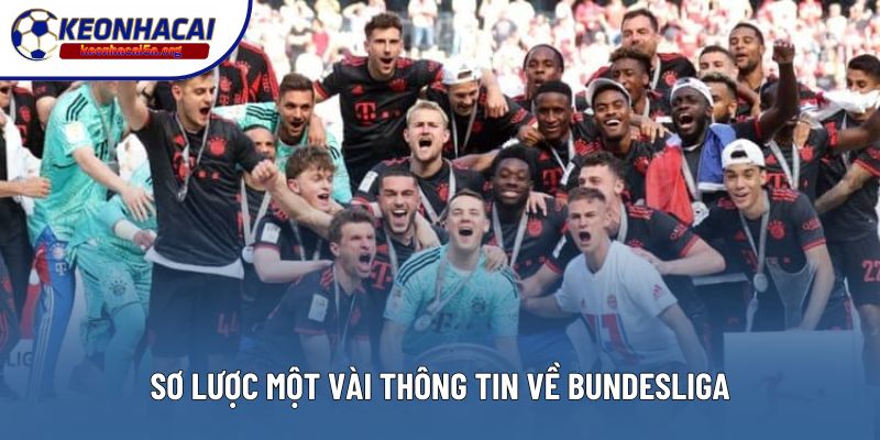 Sơ lược một vài thông tin về Bundesliga